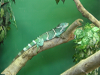 s_A_PICT0051_thumb.png